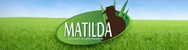 Eastern Turf Traders Pty Ltd - Turf & Lawn Suppliers