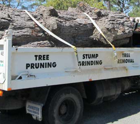 All Scale Tree Services - Mittagong, NSW