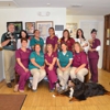 Advanced Veterinary Care