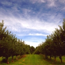 Drazen Orchards - Orchards