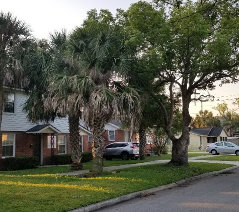 Greenwise Tree Services - Jacksonville, FL. Front before