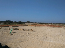 Gallery Image Number 4