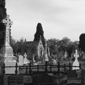Gallery Image Number 4