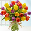 Amazing Flowers & Gifts - Flowers, Plants & Trees-Silk, Dried, Etc.-Retail