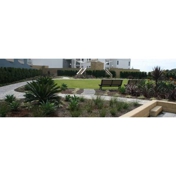 Gallery Image Number 8