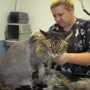 Dirty Paws Grooming Spa