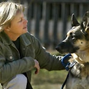 Animal Communication/Intuitive Holistic Healing - Pet Services
