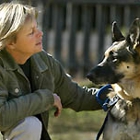 Animal Communication/Intuitive Holistic Healing