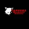 Topper's Wildlife Removal gallery