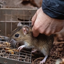 Let's Go Pest Control - Pest Control Equipment & Supplies
