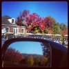 Country Club of Arkansas gallery