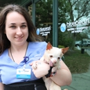 BluePearl Pet Neurology - Pet Services
