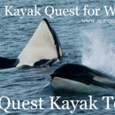 Sea Quest Kayak Tours - Boat Tours