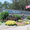 Knodt's Flowers gallery