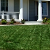 Expert Lawn & Tree gallery