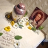 Boxwell Brothers Funeral Directors gallery