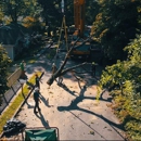 Tree Worx - Tree Service