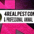 4Real Pest Control & Professional Animal Trapping - Pest Control Services