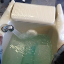 Majestic Nail & Day Spa - Nail Salons