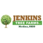 Jenkins Tree Farms