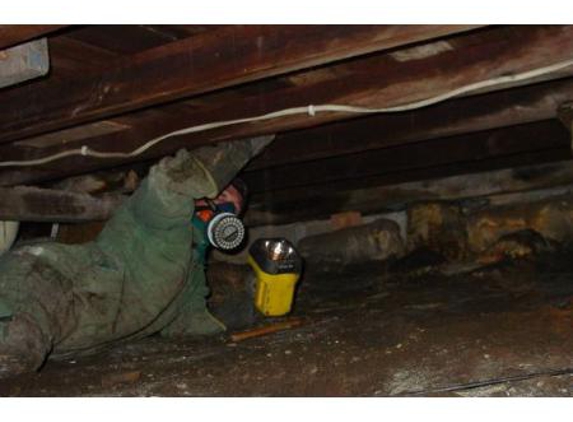 Systems Pest Management Pty Ltd - Thornleigh, NSW
