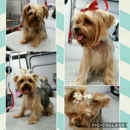 Bless Your Pawz, LLC mobile dog grooming spa - Pet Grooming