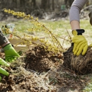 C.R Tree Service - Tree Service