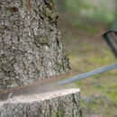 Buckhead lawn and tree experts - Arborists