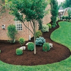 Auburn Landscaping Pros