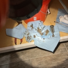 Mr. Rooter Plumbing of Austin