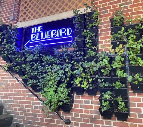 The Bluebird Cocktail Room - Baltimore, MD