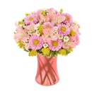 Country Garden Florist Gifts & Greenhouse - Flowers, Plants & Trees-Silk, Dried, Etc.-Retail