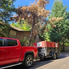 Urban Tree Restoration
