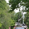 C & A Tree Service gallery