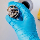 The Rooter Bee Plumbing - Plumbers