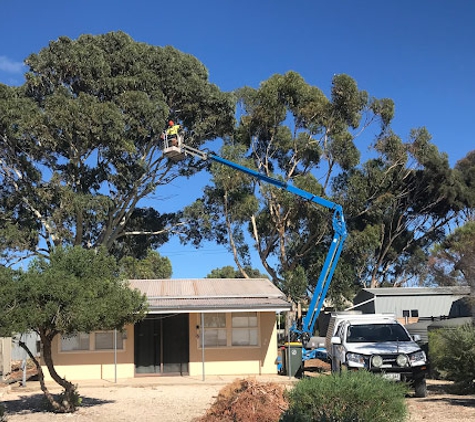 Peninsula Tree & Stump Service - Curramulka, SA