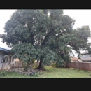 Kai's Affordable Tree Maintenance, LLC - Tree Service