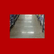 Gallery Image Number 7