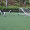 Alba Soccer Bronx - Soccer Clubs