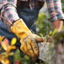 Tim's Tree Service - Tree Service