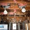FDP Mold Remediation of Hollywood gallery