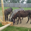 Animal Adventure Park - Animals-Circus, Zoo & Preserve