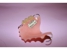 Robert Gunns Dental Prosthetist - Dental Prosthetist