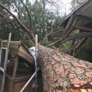 Timberline Expert Tree Service