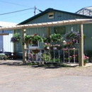 The Green House - Wholesale Florists