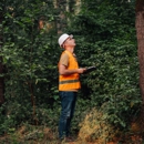 Edgewood Tree Service - Tree Service