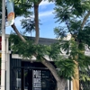 Volare: A Pole Art & Aerial Yoga Studio gallery
