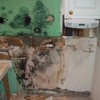 Advanced Mold Detection Services gallery