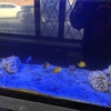 Fish World gallery