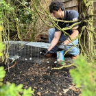 Pro-Force Pest Solutions